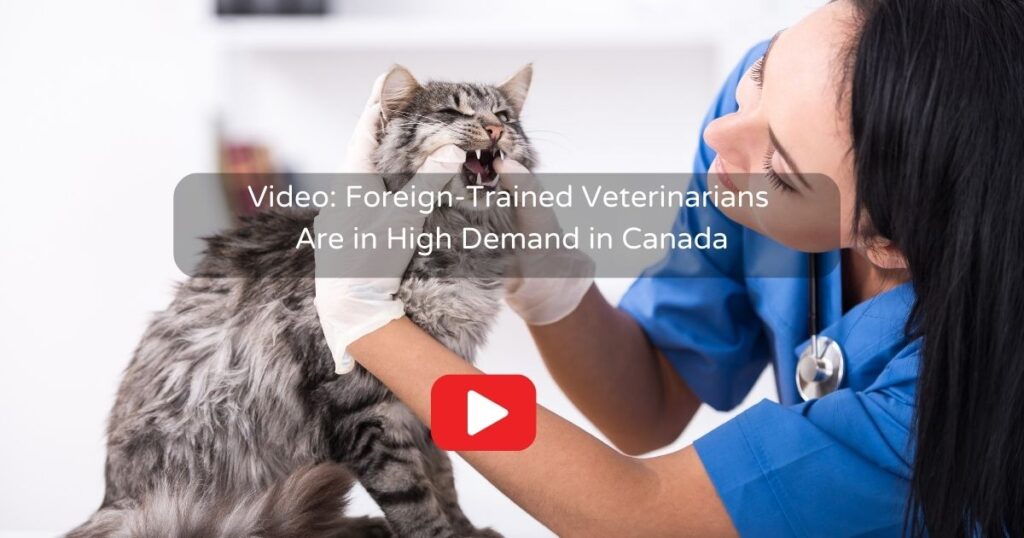 Foreign-Trained Veterinarians Are in High Demand in Canada video