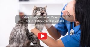 Foreign-Trained Veterinarians Are in High Demand in Canada video