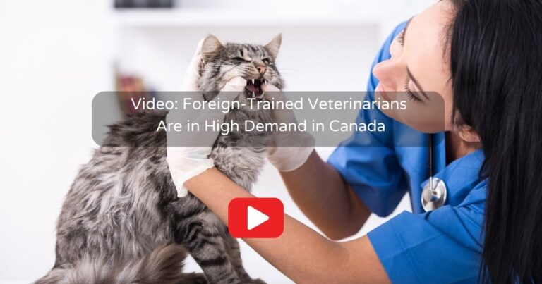 Foreign-Trained Veterinarians Are in High Demand in Canada video